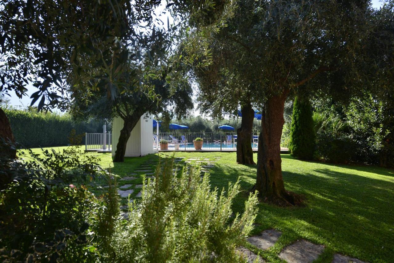 In Versilia سيرافيزا المظهر الخارجي الصورة