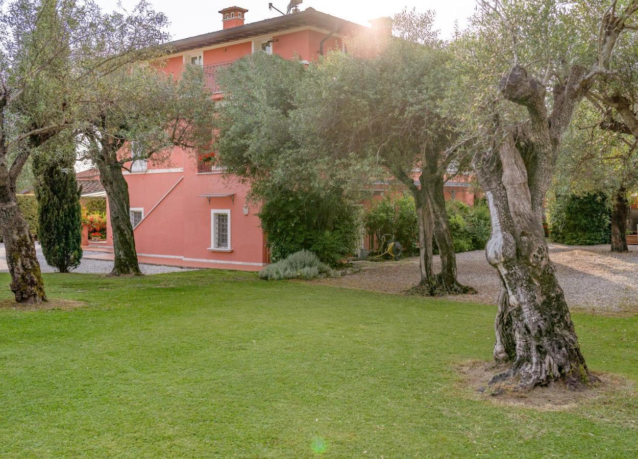 In Versilia سيرافيزا المظهر الخارجي الصورة