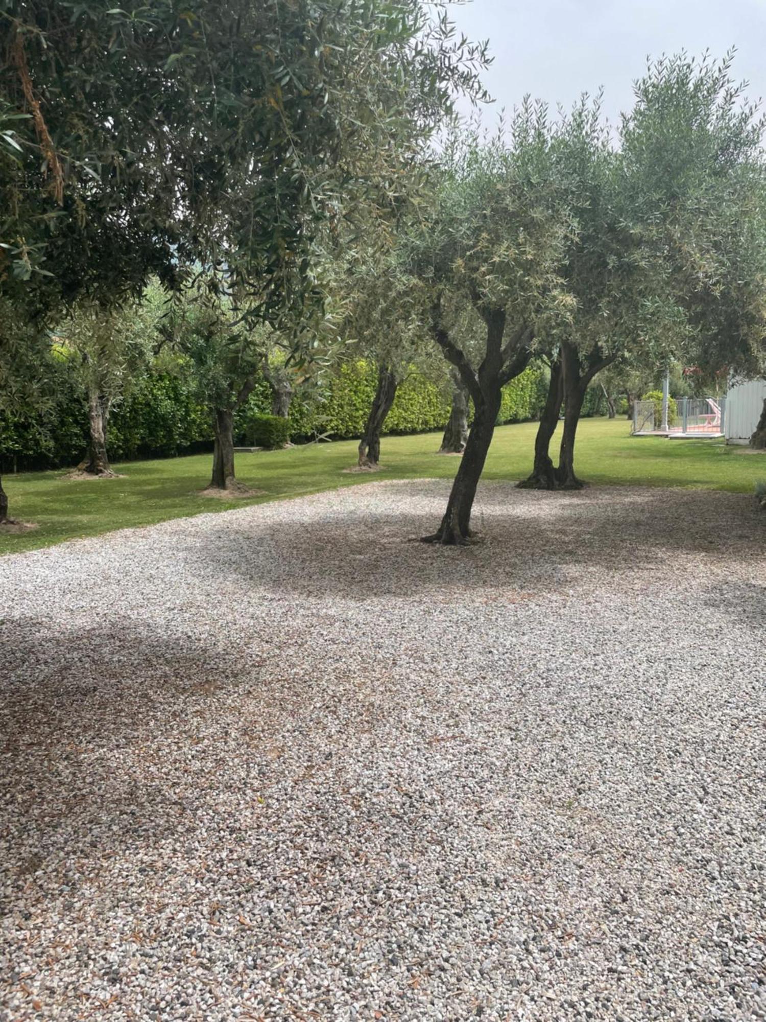 In Versilia سيرافيزا المظهر الخارجي الصورة